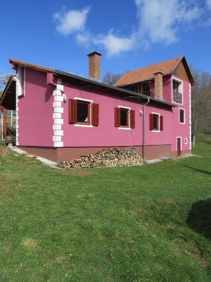 Planinska Kuca Mitke Villa Prolesje Luaran gambar